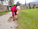 une sypathique petite chienne nous a accompagn�s dans une randonn�e de 9 km