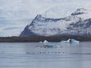 voil� les "diamants" icebergs d�tach�s du glacier