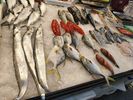 grand choix de poissons, pas tr�s faciles � manger avec des baguettes !