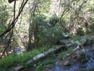 qui aboutit � une chemin�e...